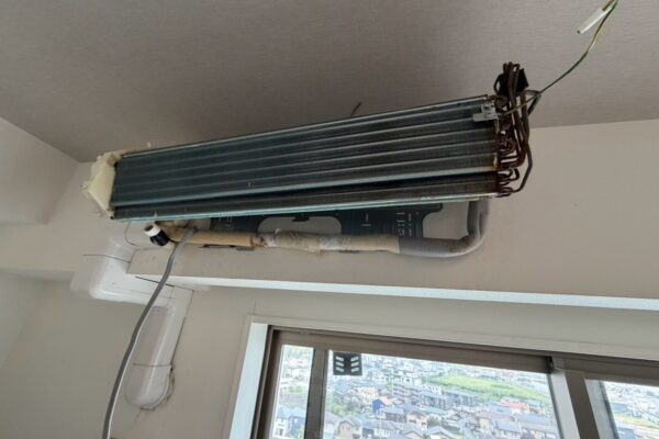 東海市 ダイキンF63VTRXP-Wの背抜き洗浄後の熱交換器